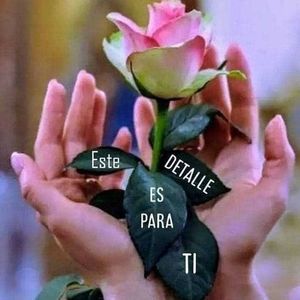 Meet your Posher, Delia